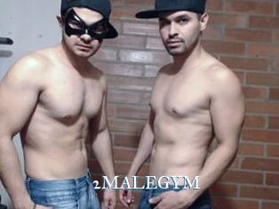 2MALEGYM