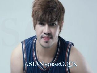 ASIANhorseCQCK