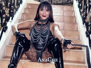 AnaChe