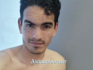 Andrewgosht