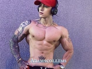 Adamscollims