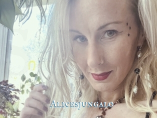 Alicesjungalo