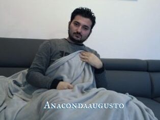 Anacondaaugusto