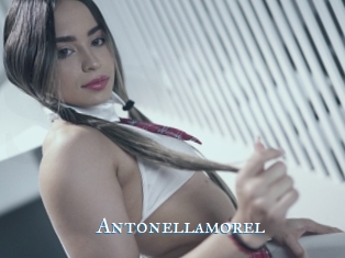 Antonellamorel