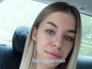 Antoniacodd