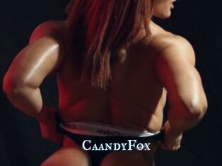 CaandyFox