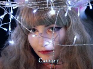 Calicat