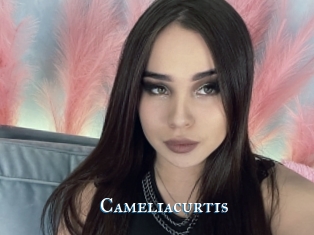 Cameliacurtis