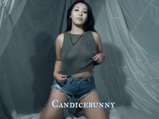 Candicebunny