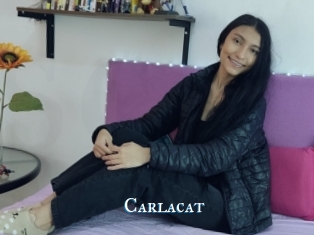 Carlacat