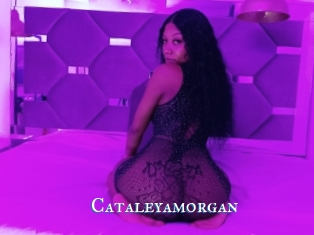 Cataleyamorgan