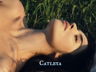 Catleya