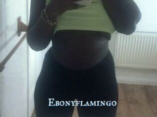 Ebony_flamingo