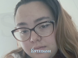 Eviedash