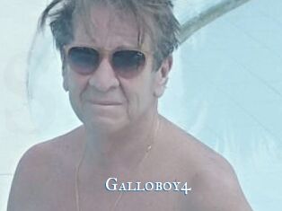 Galloboy4