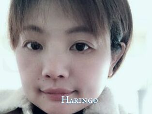 Haringo