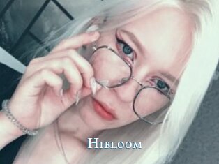 Hibloom