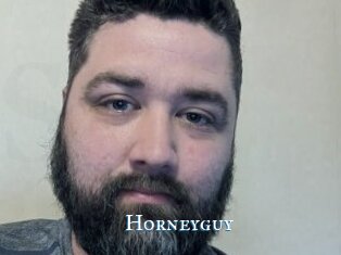 Horneyguy