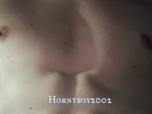 Hornyboy2002