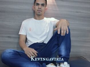 Kevingaviria