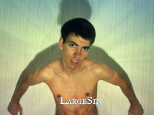 LargeSin