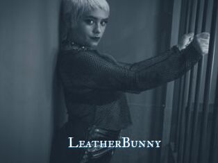 LeatherBunny