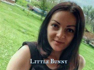 Little_Bunny_