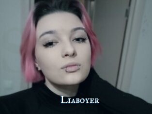 Liaboyer