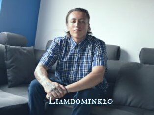 Liamdomink20