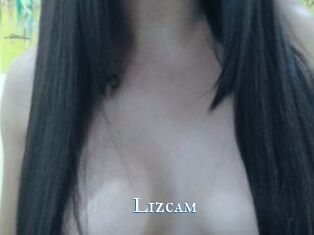 Lizcam