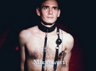 Mikeslave23