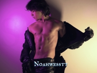 Noahwesstt