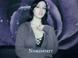 Noraspirit