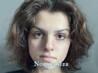 Noreengeer