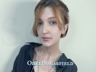 Odelinagarfield