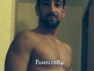 Pamigue84