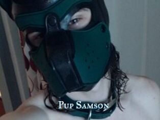 Pup_Samson