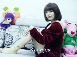 SandyJun