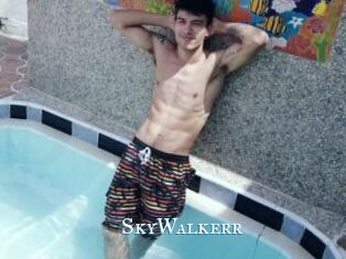 SkyWalkerr