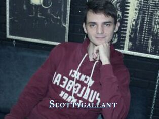 Scottygallant