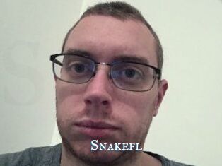 Snakefl