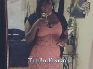 TheBigFine304