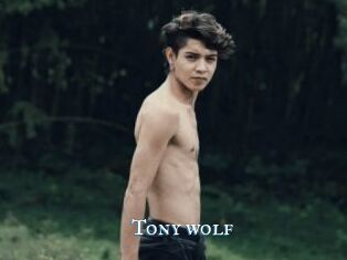 Tony_wolf