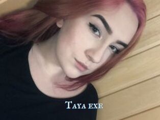 Taya_exe