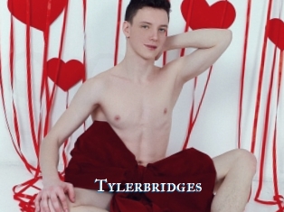 Tylerbridges