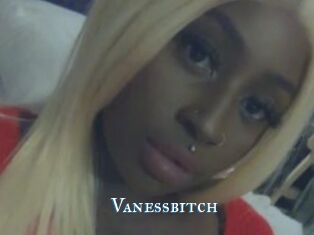 Vanessbitch