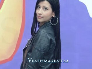 Venusmagentaa