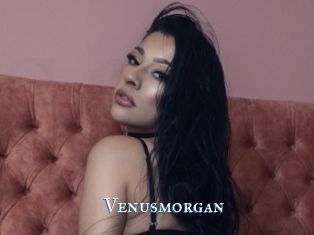 Venusmorgan