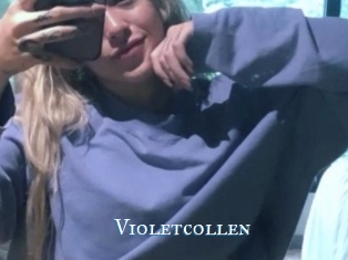 Violetcollen