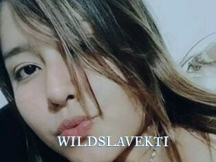 WILDSLAVEKTI